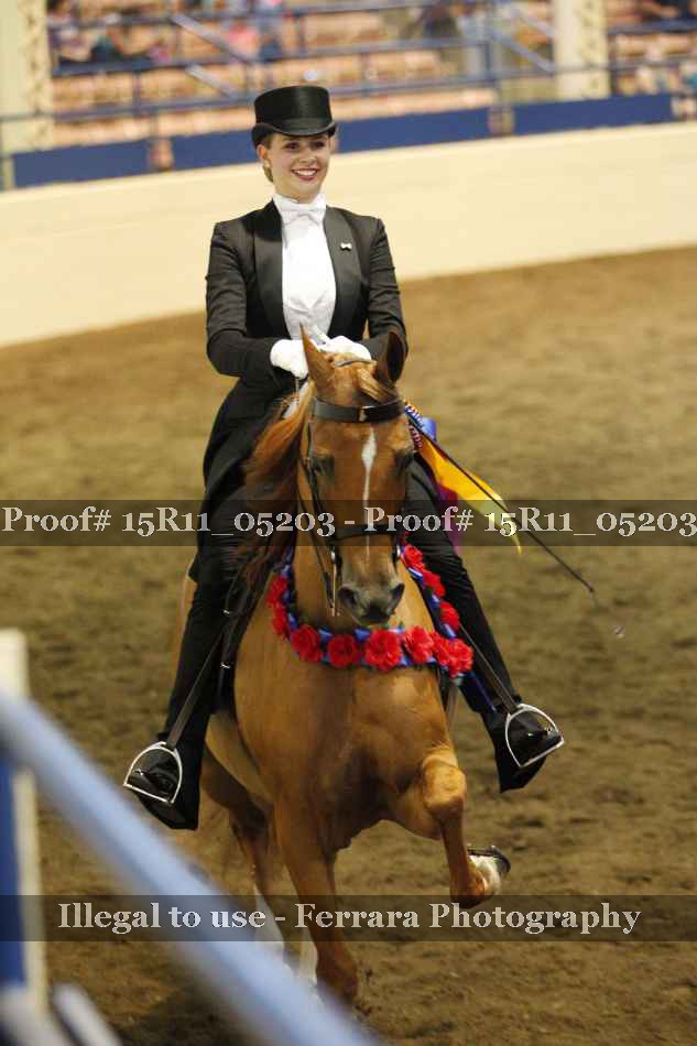 Proof 15R11_05203