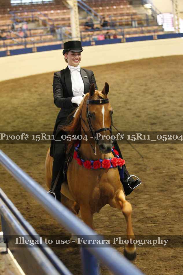 Proof 15R11_05204