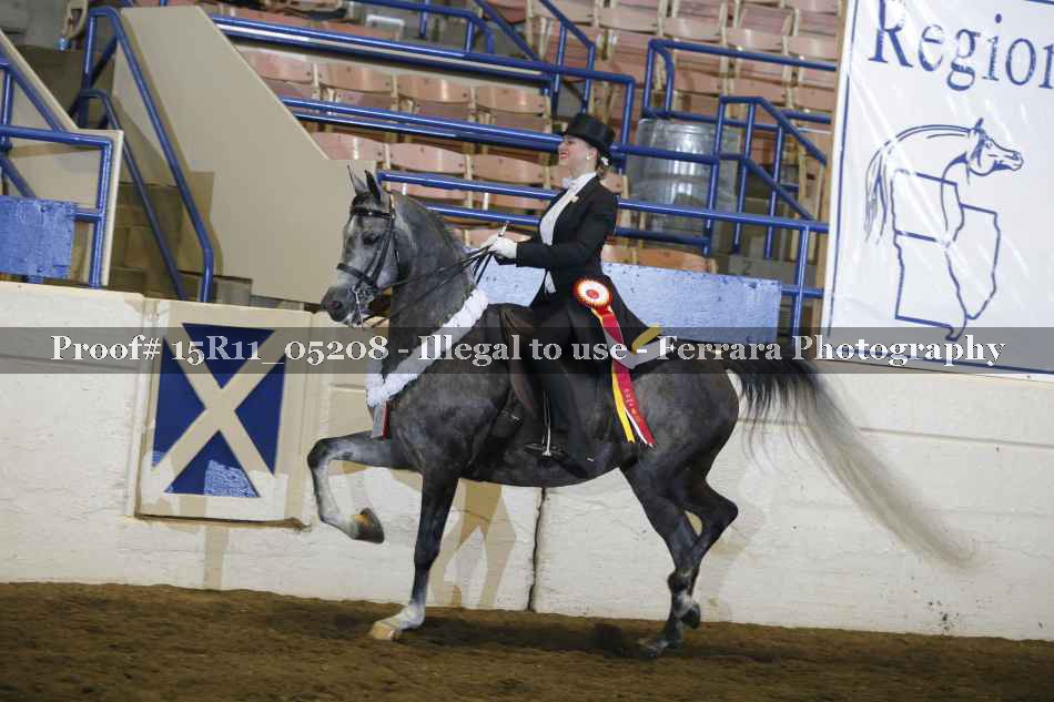 Proof 15R11_05208