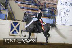 15R11_05208 proof