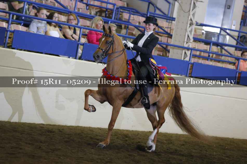 Proof 15R11_05209
