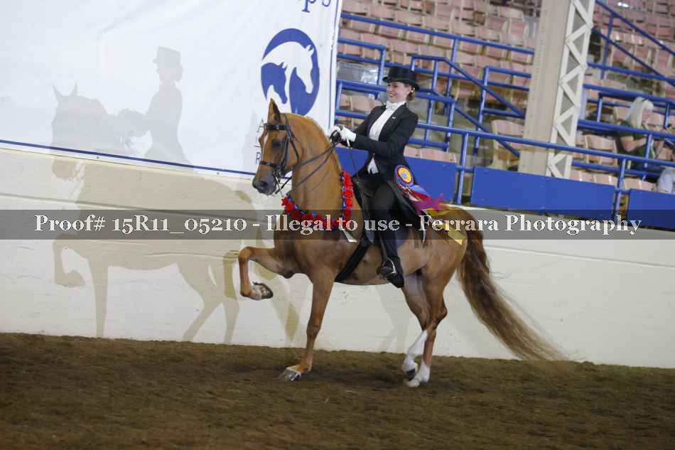 Proof 15R11_05210