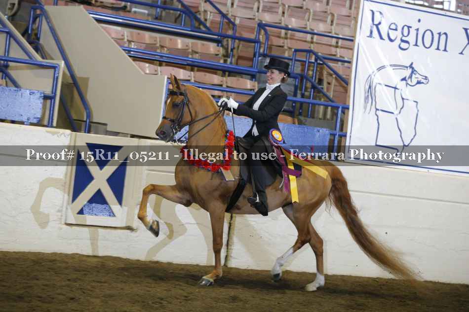 Proof 15R11_05211