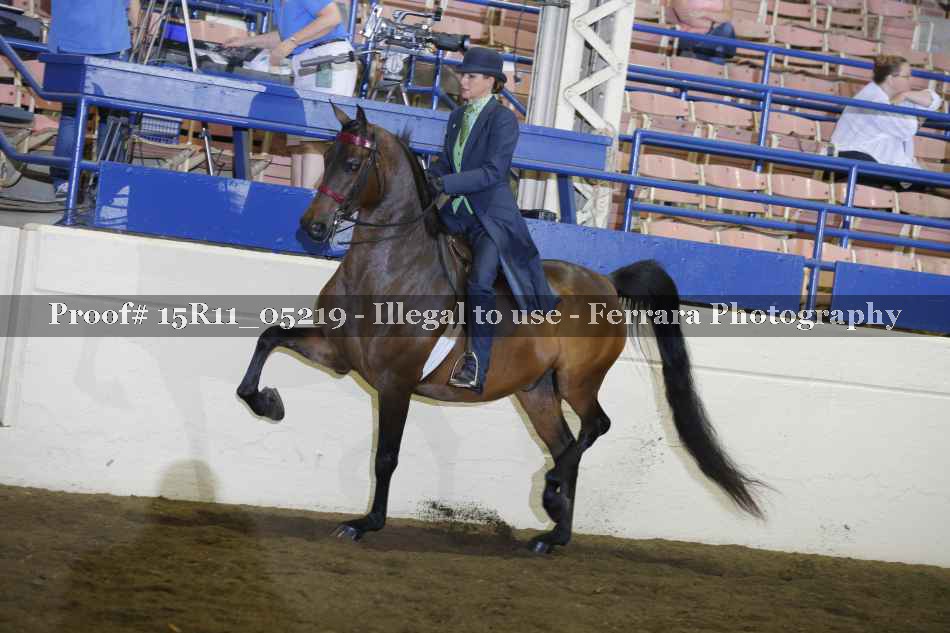 Proof 15R11_05219