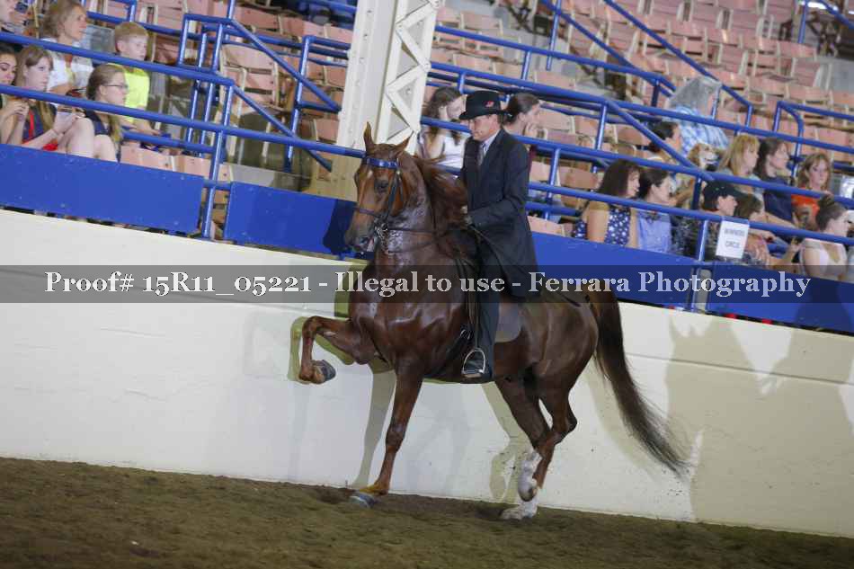 Proof 15R11_05221