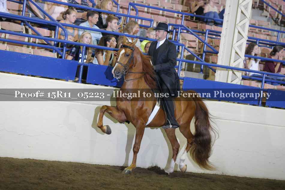 Proof 15R11_05223