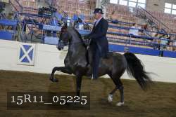 15R11_05225 proof