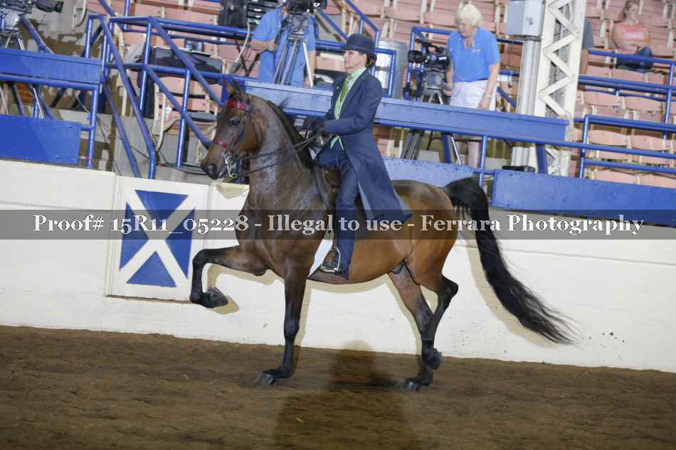 Proof 15R11_05228
