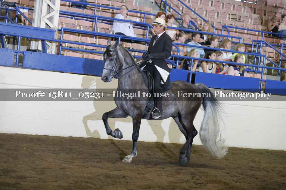 Proof 15R11_05231