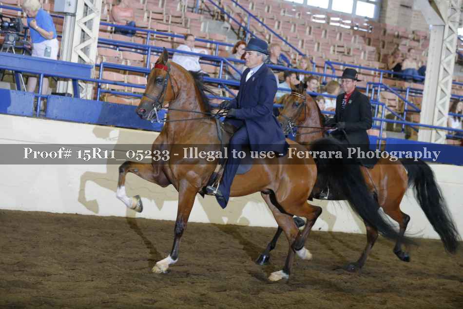 Proof 15R11_05233