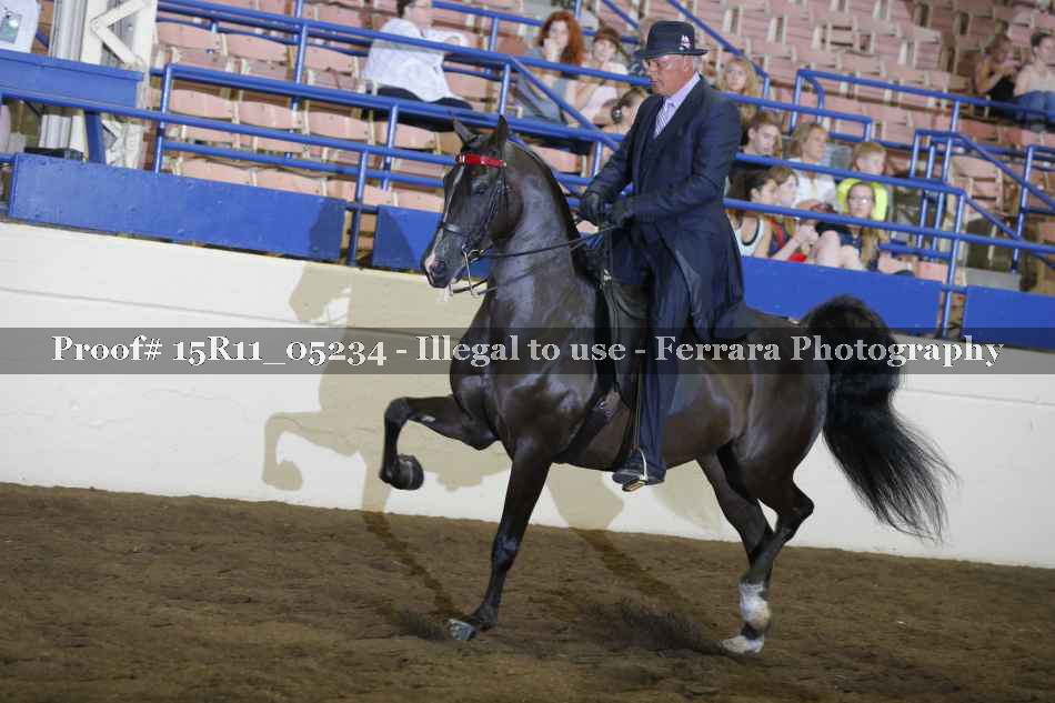 Proof 15R11_05234