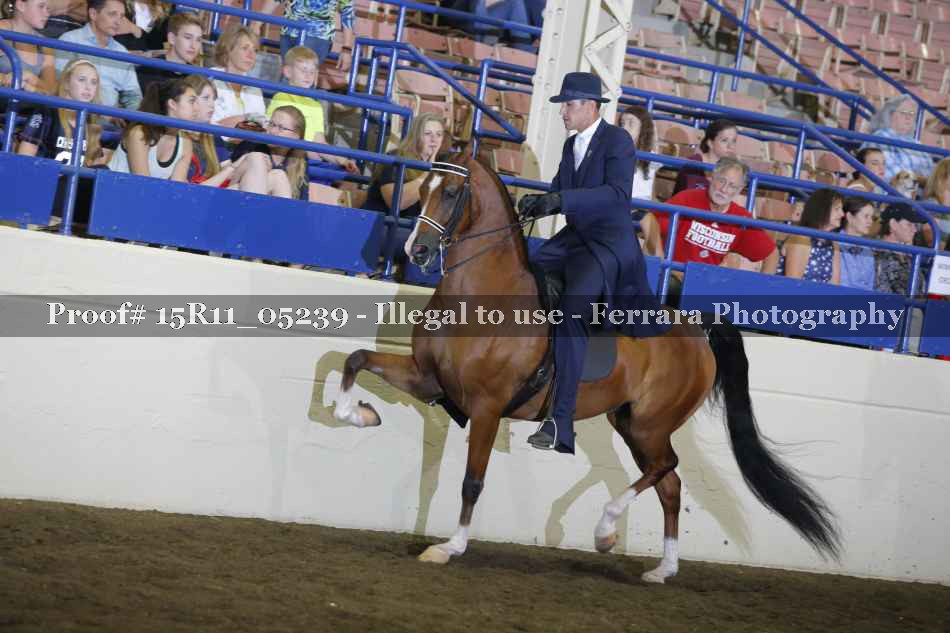 Proof 15R11_05239