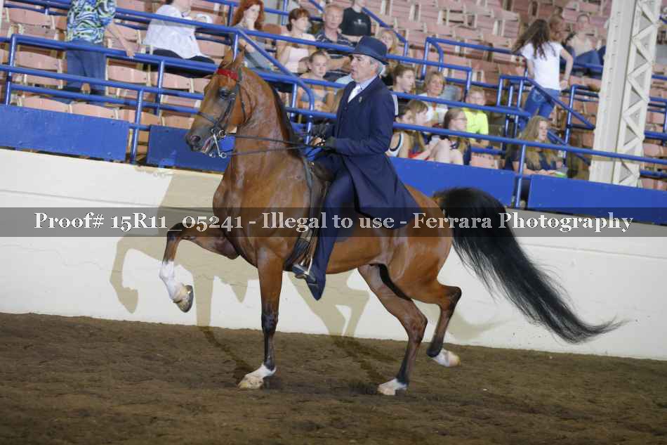 Proof 15R11_05241