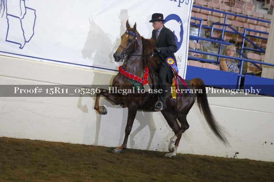 Proof 15R11_05256