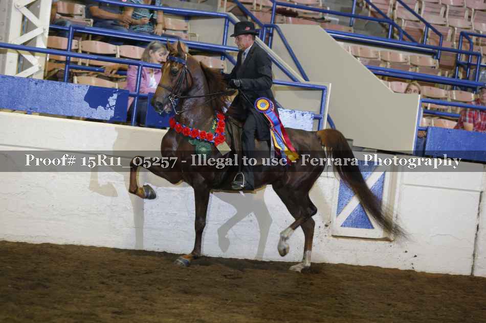 Proof 15R11_05257