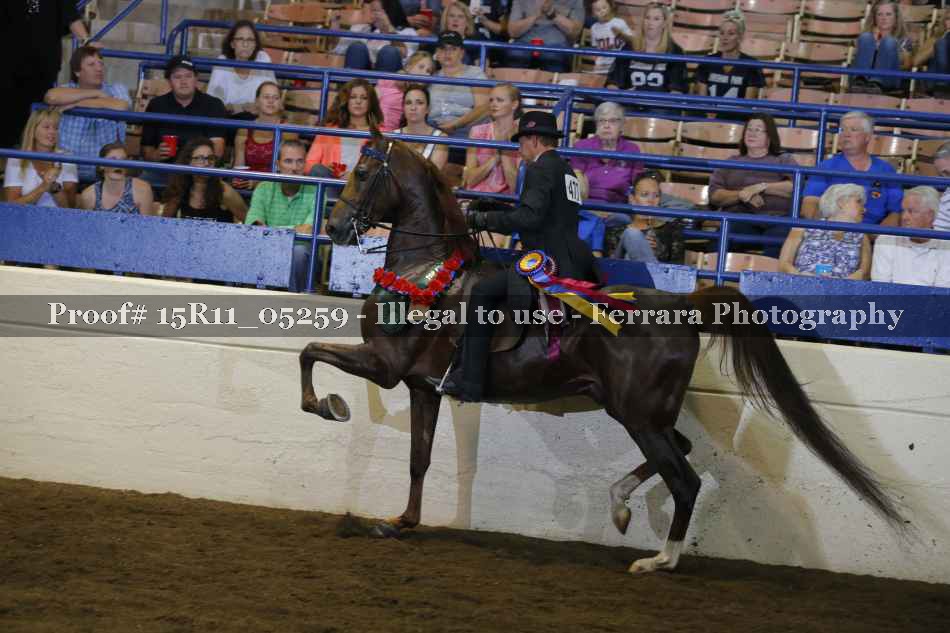 Proof 15R11_05259
