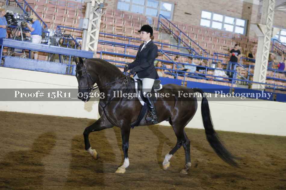 Proof 15R11_05263