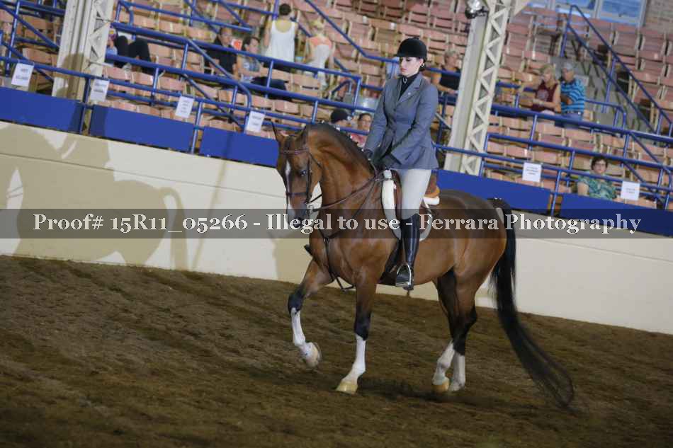 Proof 15R11_05266