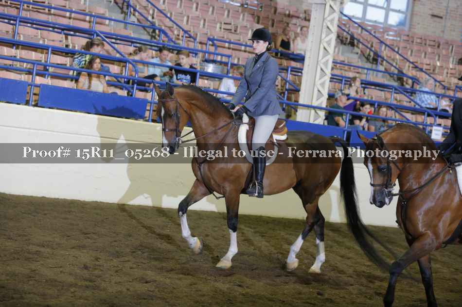 Proof 15R11_05268