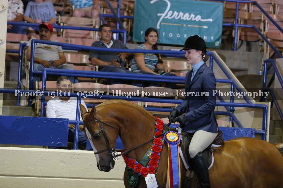 Proof 15R11_05287