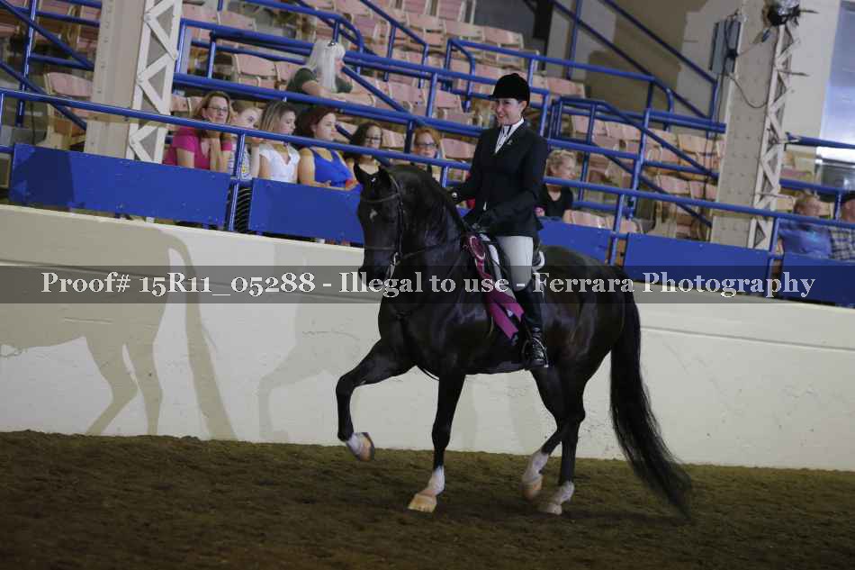 Proof 15R11_05288