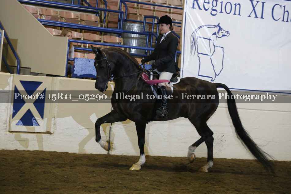 Proof 15R11_05290