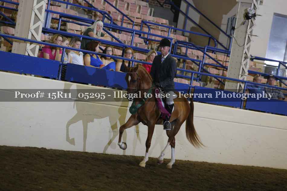 Proof 15R11_05295