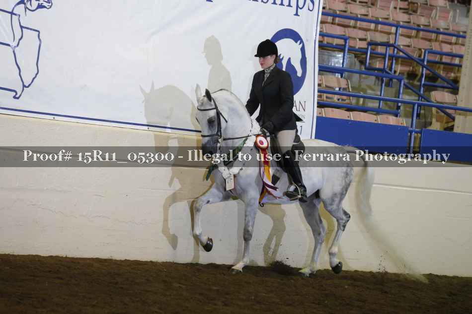 Proof 15R11_05300