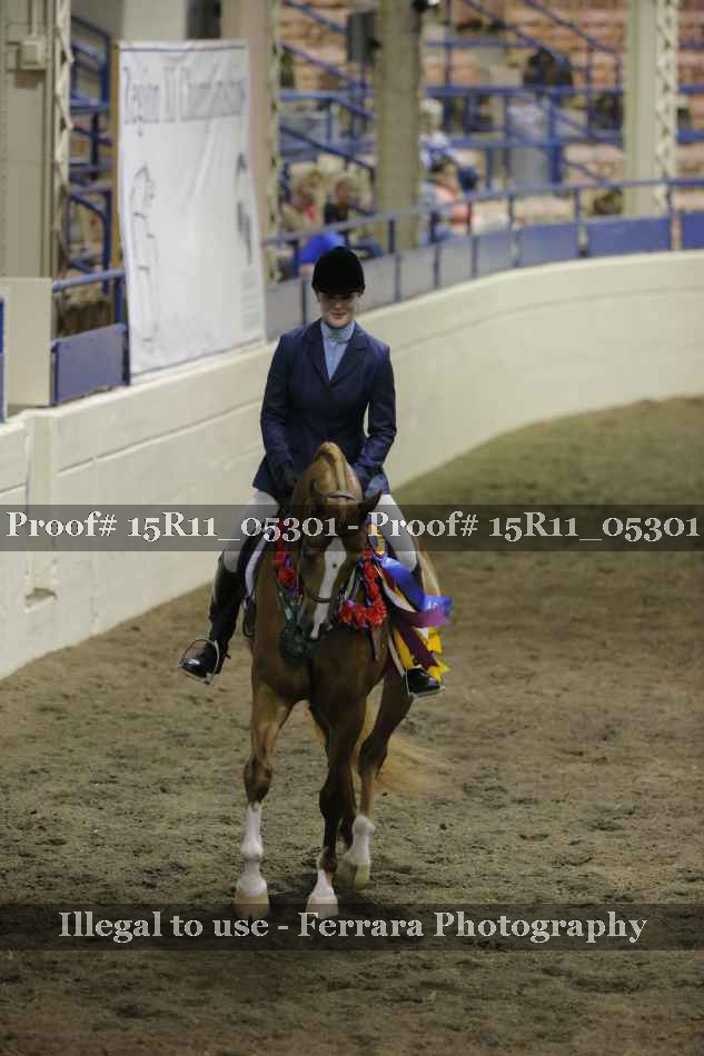 Proof 15R11_05301