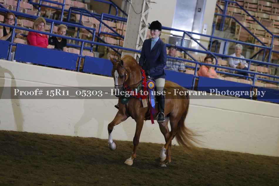 Proof 15R11_05303