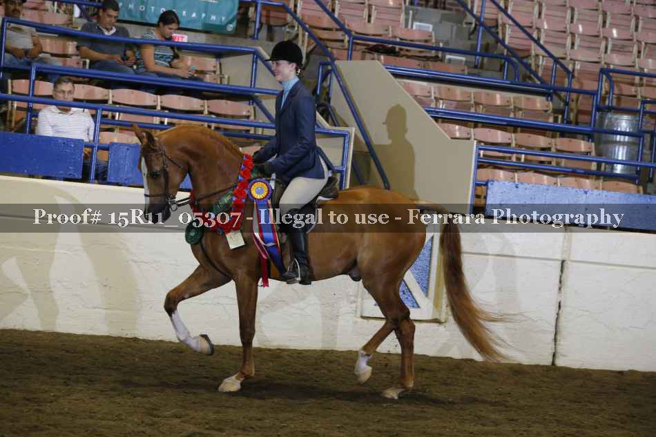 Proof 15R11_05307