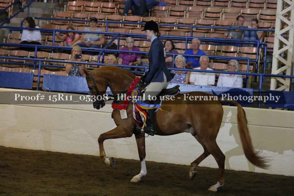 Proof 15R11_05308