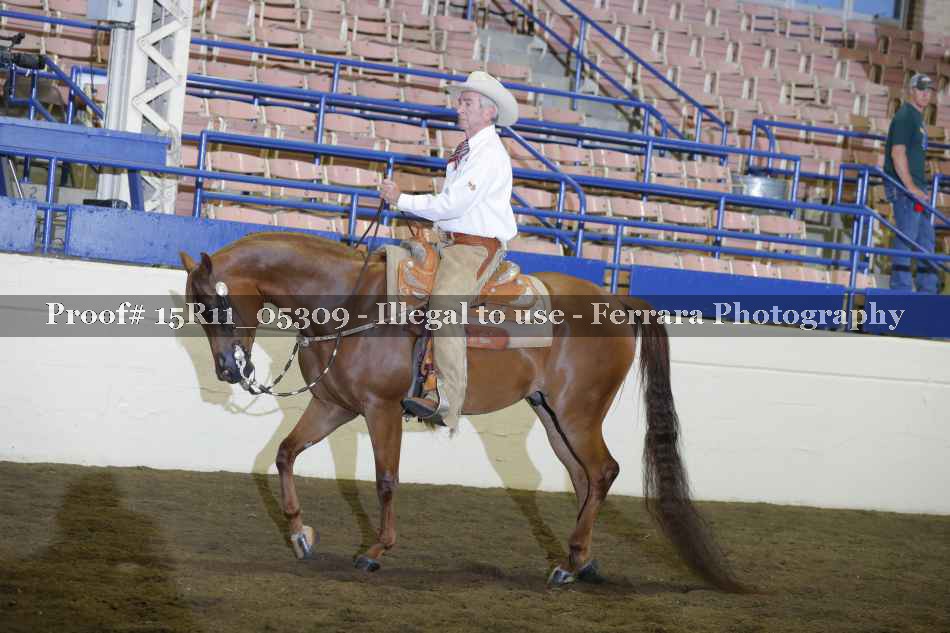 Proof 15R11_05309