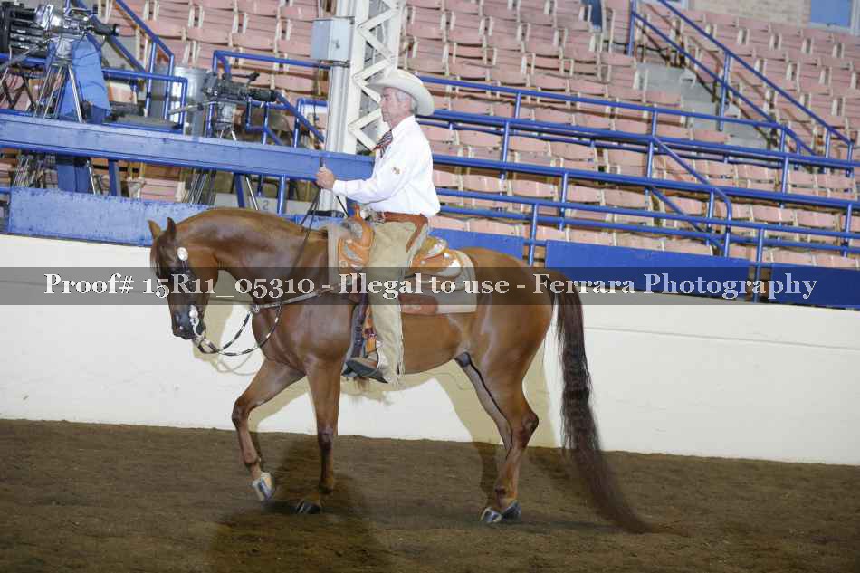 Proof 15R11_05310