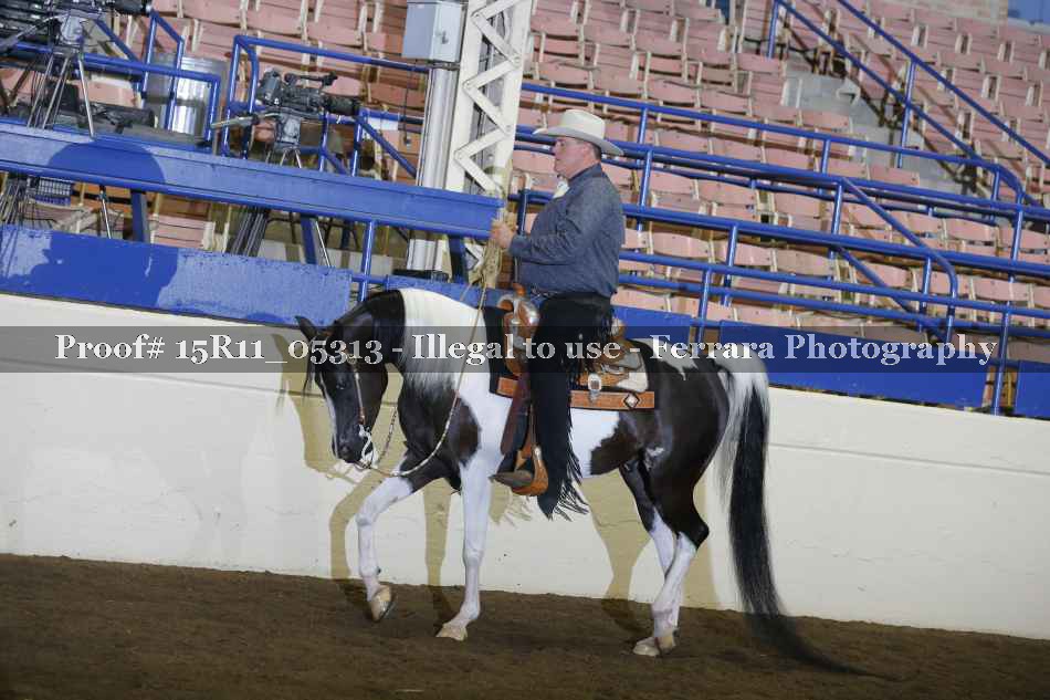 Proof 15R11_05313