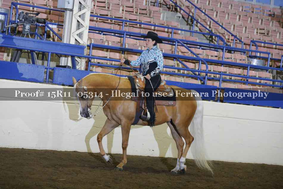 Proof 15R11_05314