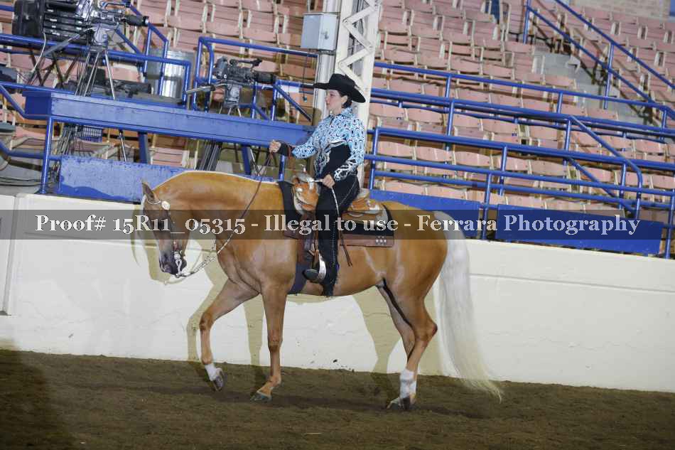 Proof 15R11_05315