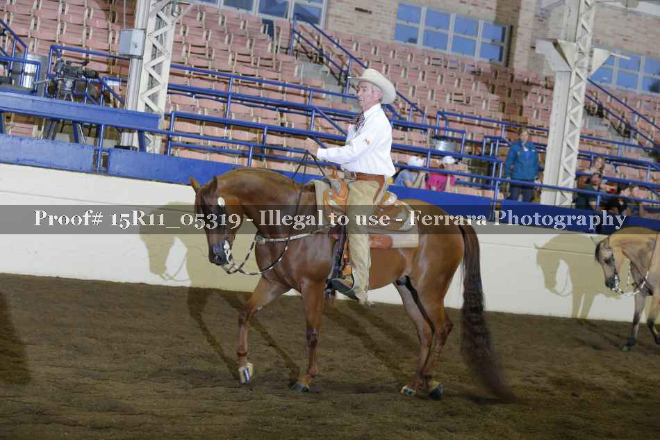 Proof 15R11_05319