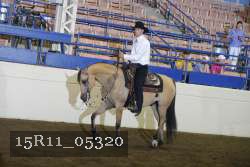 15R11_05320 proof