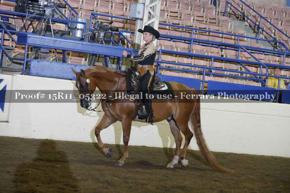 Proof 15R11_05322