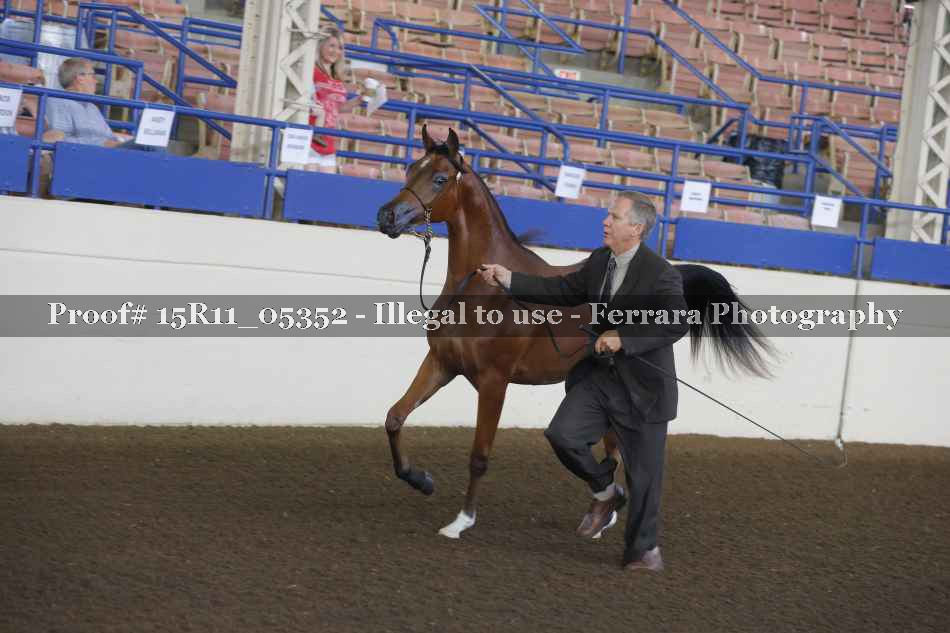 Proof 15R11_05352