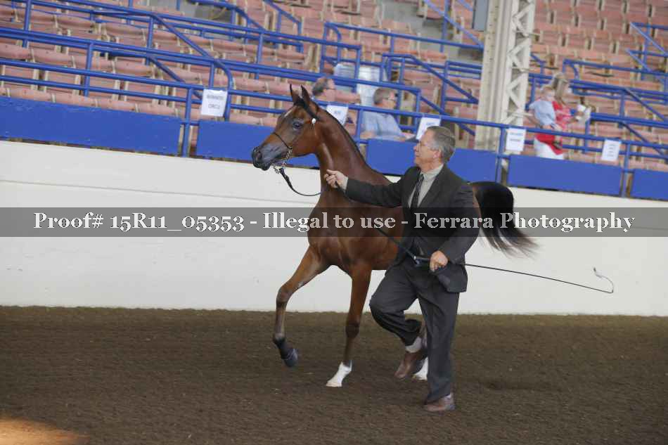 Proof 15R11_05353