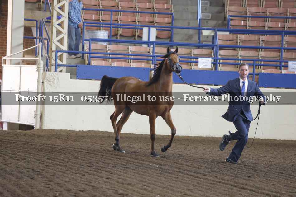 Proof 15R11_05357