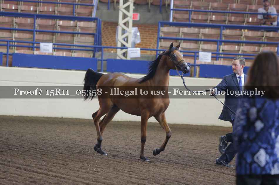 Proof 15R11_05358