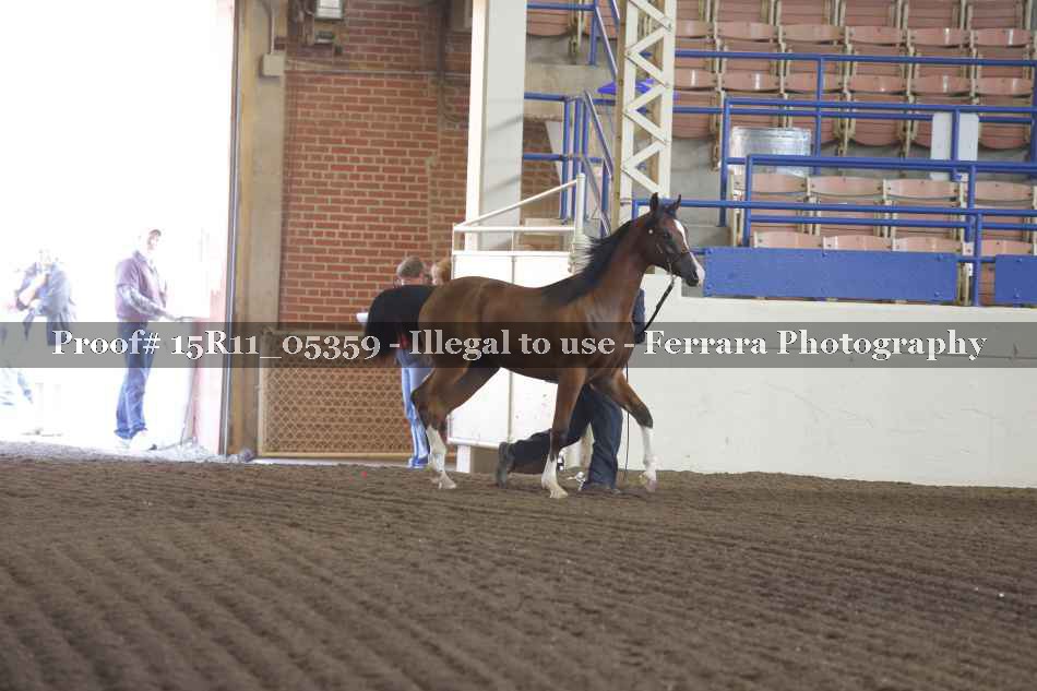 Proof 15R11_05359