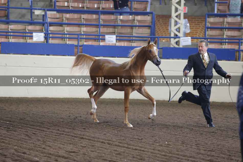 Proof 15R11_05362