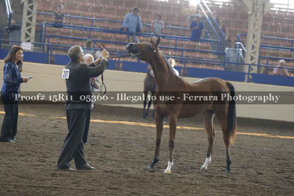 Proof 15R11_05366