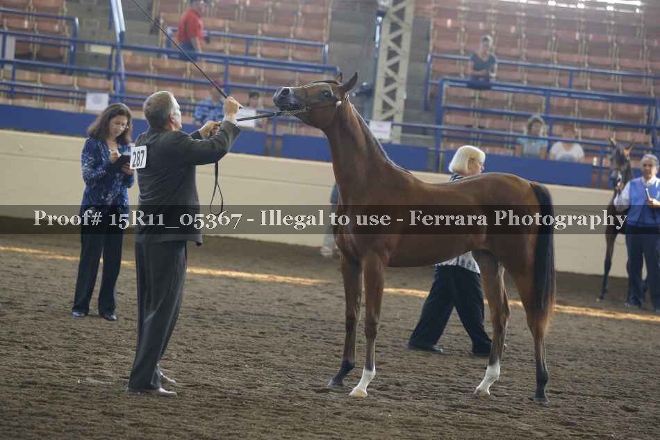 Proof 15R11_05367