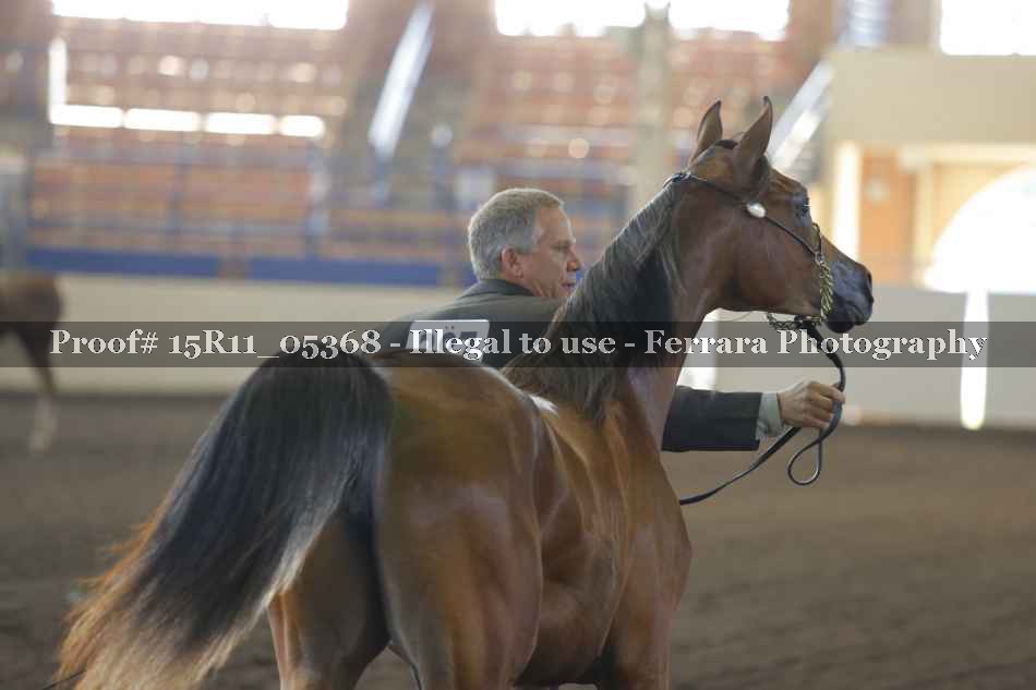Proof 15R11_05368
