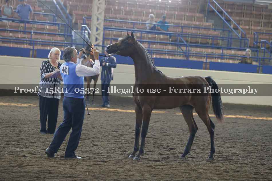 Proof 15R11_05372